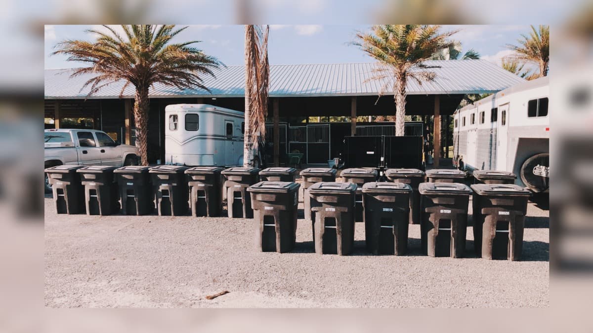 Yard Trash Bin Service
